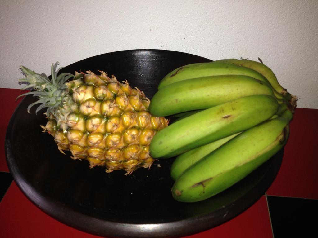 卡罗拉Moradia Rustica Jardim别墅 外观 照片
